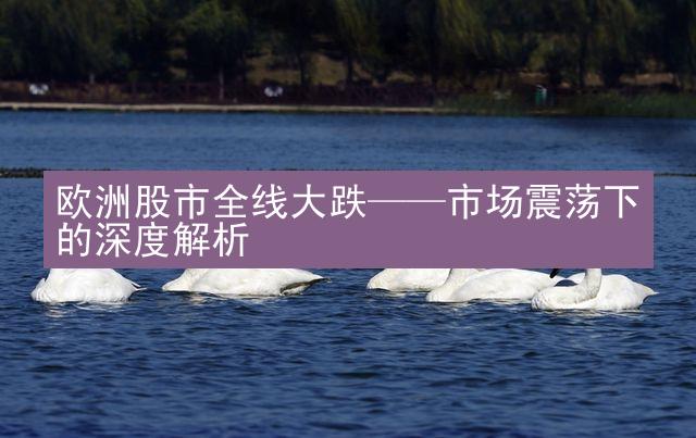 欧洲股市全线大跌——市场震荡下的深度解析