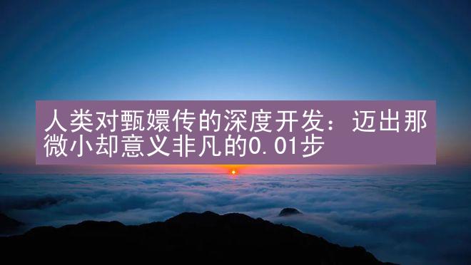 人类对甄嬛传的深度开发：迈出那微小却意义非凡的0.01步