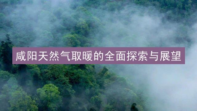 咸阳天然气取暖的全面探索与展望