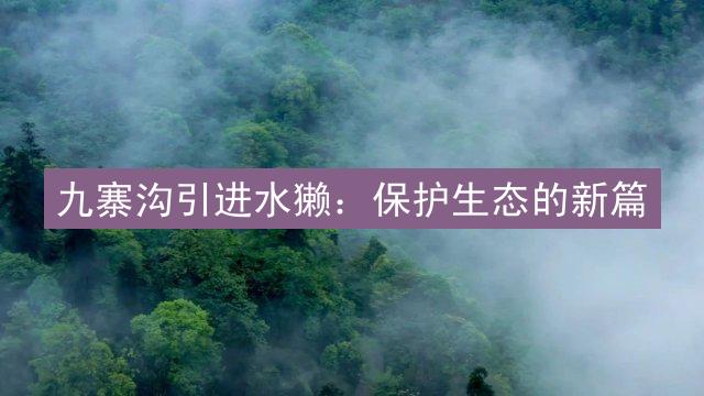 九寨沟引进水獭：保护生态的新篇