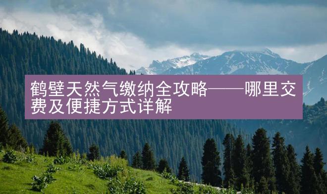 鹤壁天然气缴纳全攻略——哪里交费及便捷方式详解