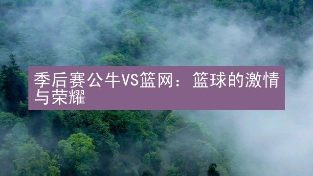 季后赛公牛VS篮网：篮球的激情与荣耀