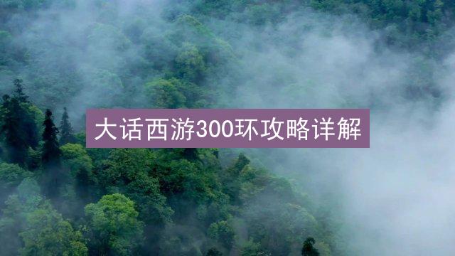 大话西游300环攻略详解