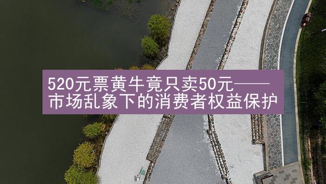 520元票黄牛竟只卖50元——市场乱象下的消费者权益保护