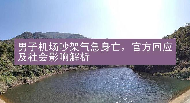 男子机场吵架气急身亡，官方回应及社会影响解析