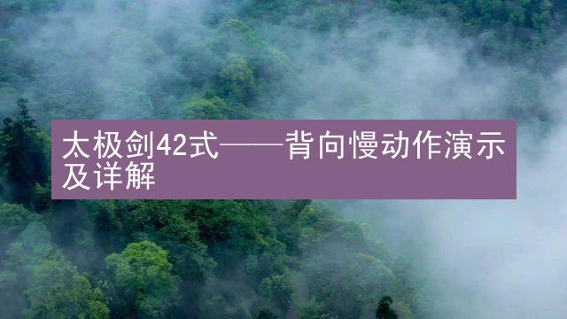 太极剑42式——背向慢动作演示及详解