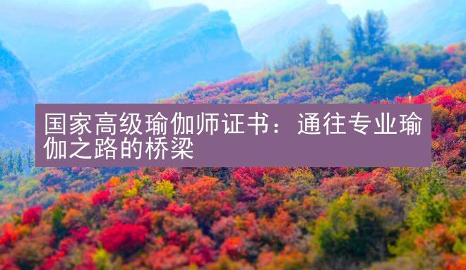 国家高级瑜伽师证书：通往专业瑜伽之路的桥梁