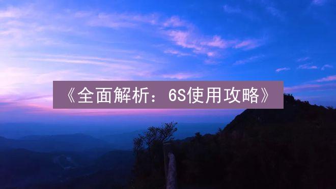 《全面解析：6S使用攻略》