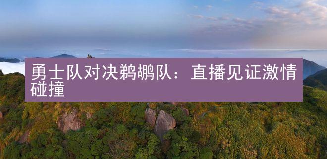 勇士队对决鹈鹕队：直播见证激情碰撞