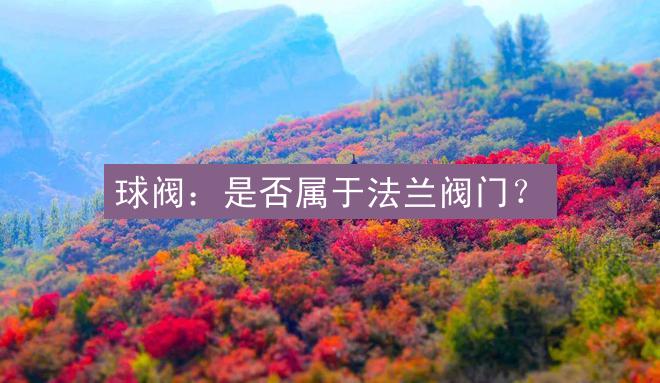 球阀：是否属于法兰阀门？