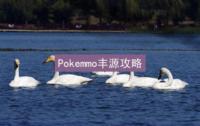 Pokemmo丰源攻略