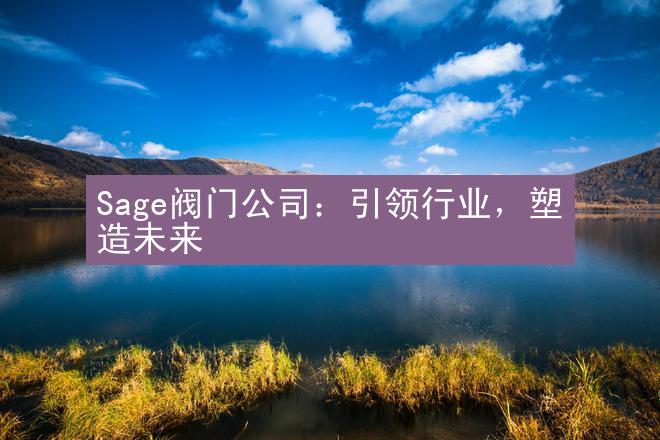 Sage阀门公司：引领行业，塑造未来