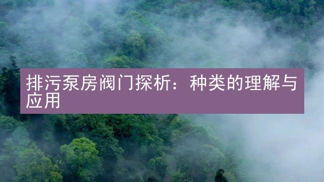 排污泵房阀门探析：种类的理解与应用