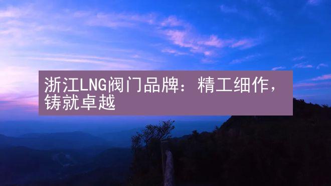 浙江LNG阀门品牌：精工细作，铸就卓越