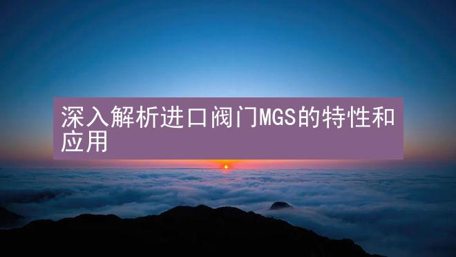 深入解析进口阀门MGS的特性和应用