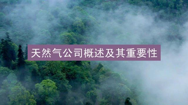 天然气公司概述及其重要性