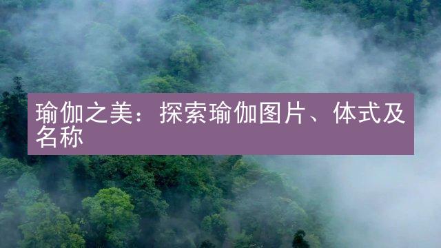 瑜伽之美：探索瑜伽图片、体式及名称