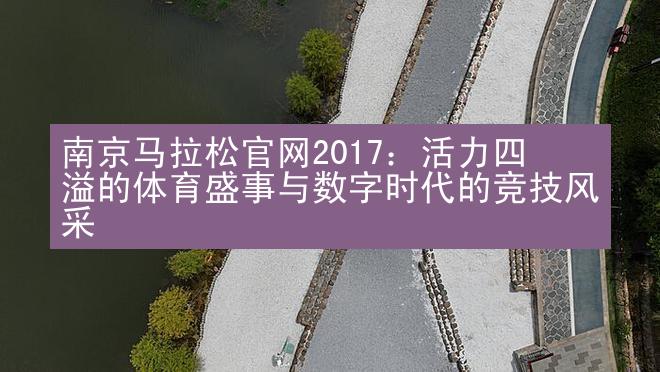 南京马拉松官网2017：活力四溢的体育盛事与数字时代的竞技风采