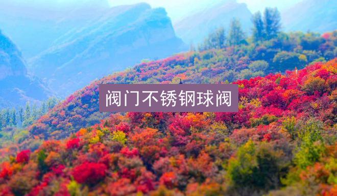 阀门不锈钢球阀